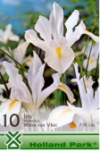 Bulbi de toamna iris hollandica White van Vliet