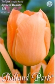 Bulbi de toamna lalele Apricot Beauty