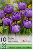 Bulbi de toamna lalele Blue Diamond