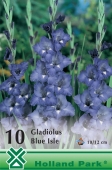 Bulbi de primavara gladiolus Blue Isle