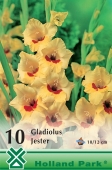 Bulbi de primavara gladiolus Jester