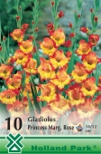 Bulbi de primavara gladiolus Princess Marg. Rose
