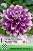 Bulbi de primavara dalie decorativ Mistery Day
