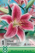 Bulbi de primavara lilium Star Gazer
