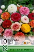 Bulbi de primavara Ranunculus Asiaticus