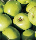 Pomi fructiferi mar Granny Smith